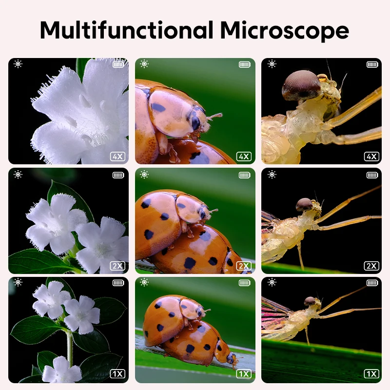 Microscope numérique grossissant portable pour enfants, jouets scientifiques, cadeaux de Noël et d'anniversaire, déterminer