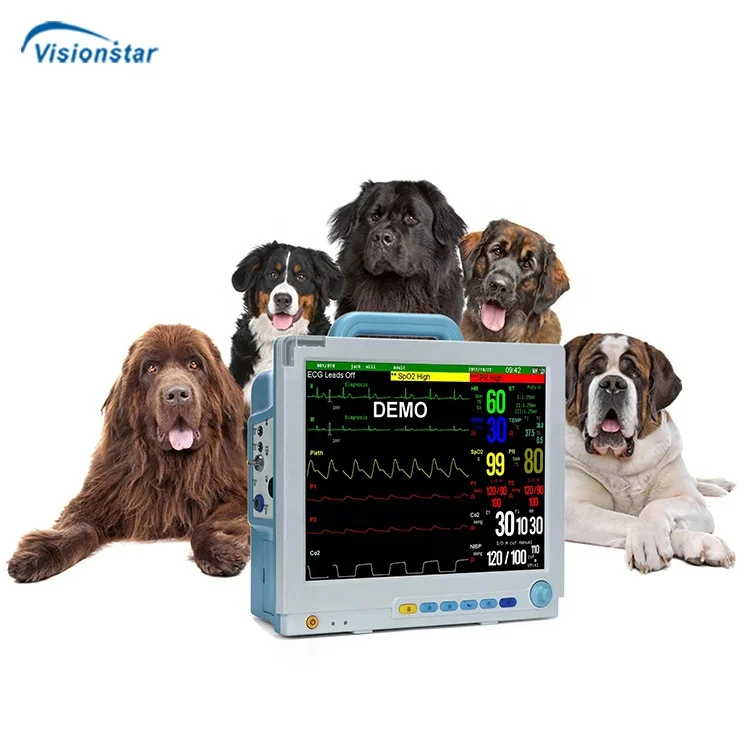 Animal Hospitals Equipment 15 Inch 5 ParametersVeterinary Monitors for Sale