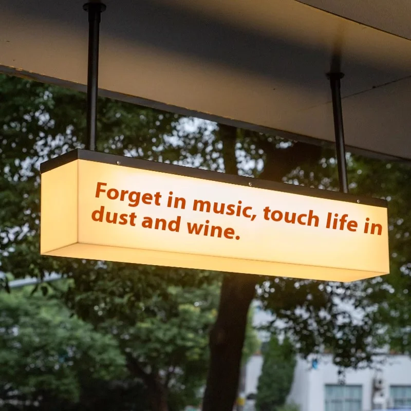 custom.Customized Full-Body Luminous Outdoor Advertising Light Box Acrylic Rectangle Door with Aluminum Frame Hanging Billboard