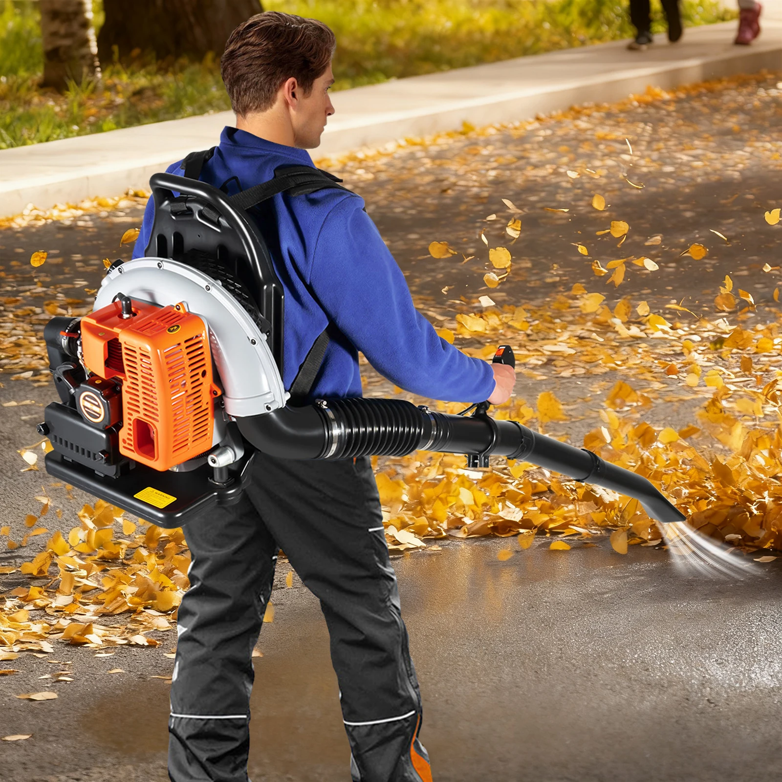 Gasoline Leaf Blower Backpack  - огляд і ціна Snow Blower Single