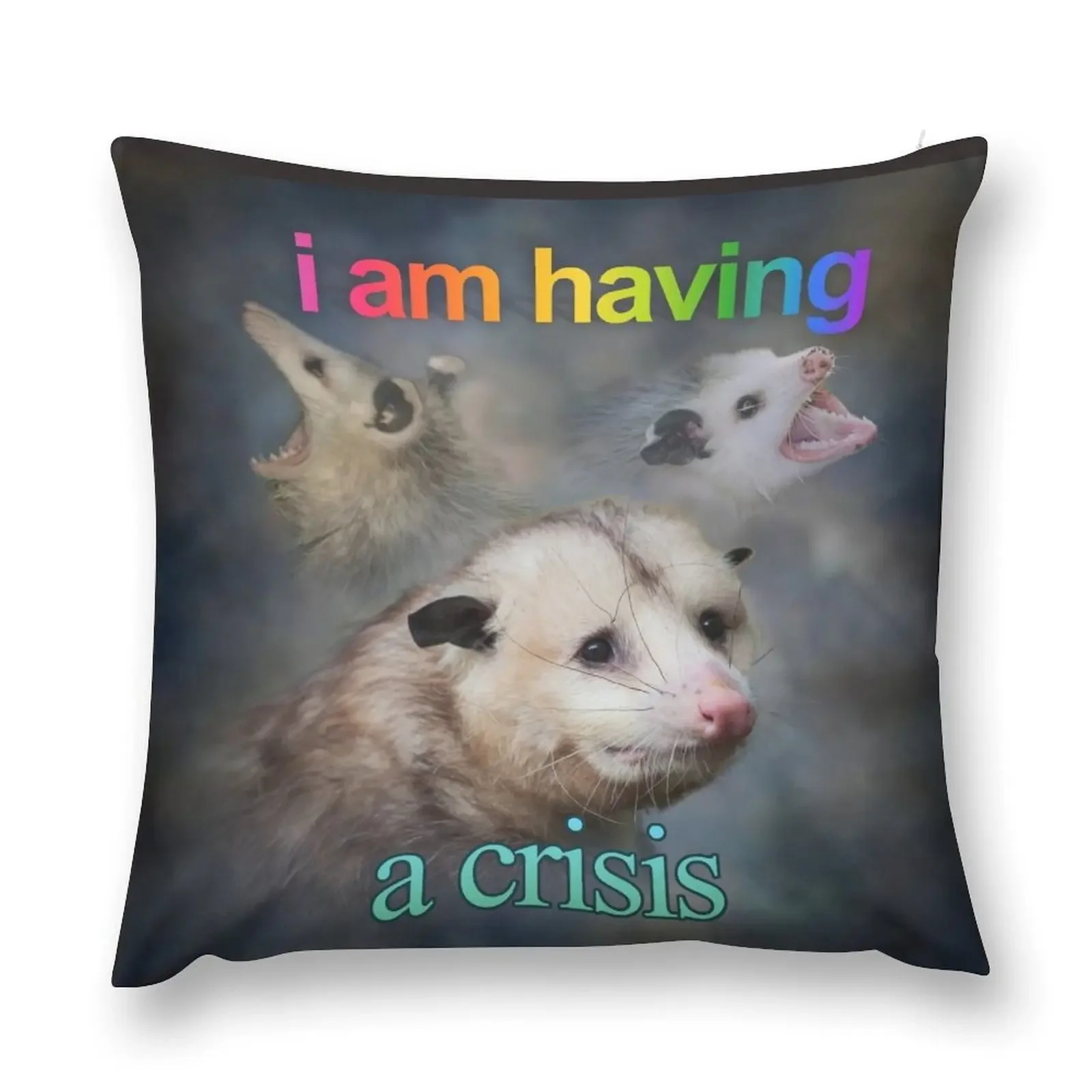 

I am having a crisis possum word art Throw Pillow New year Sofa Cushions Cover Cushion Cover pillow