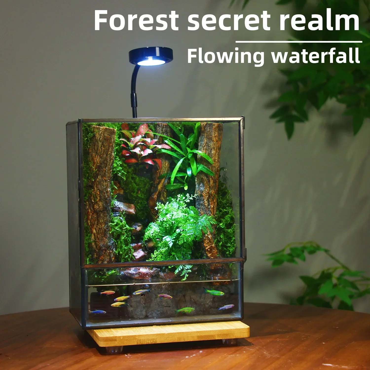Creative moss micro landscape ecological bottle potted plant stuffy mini plant bonsai