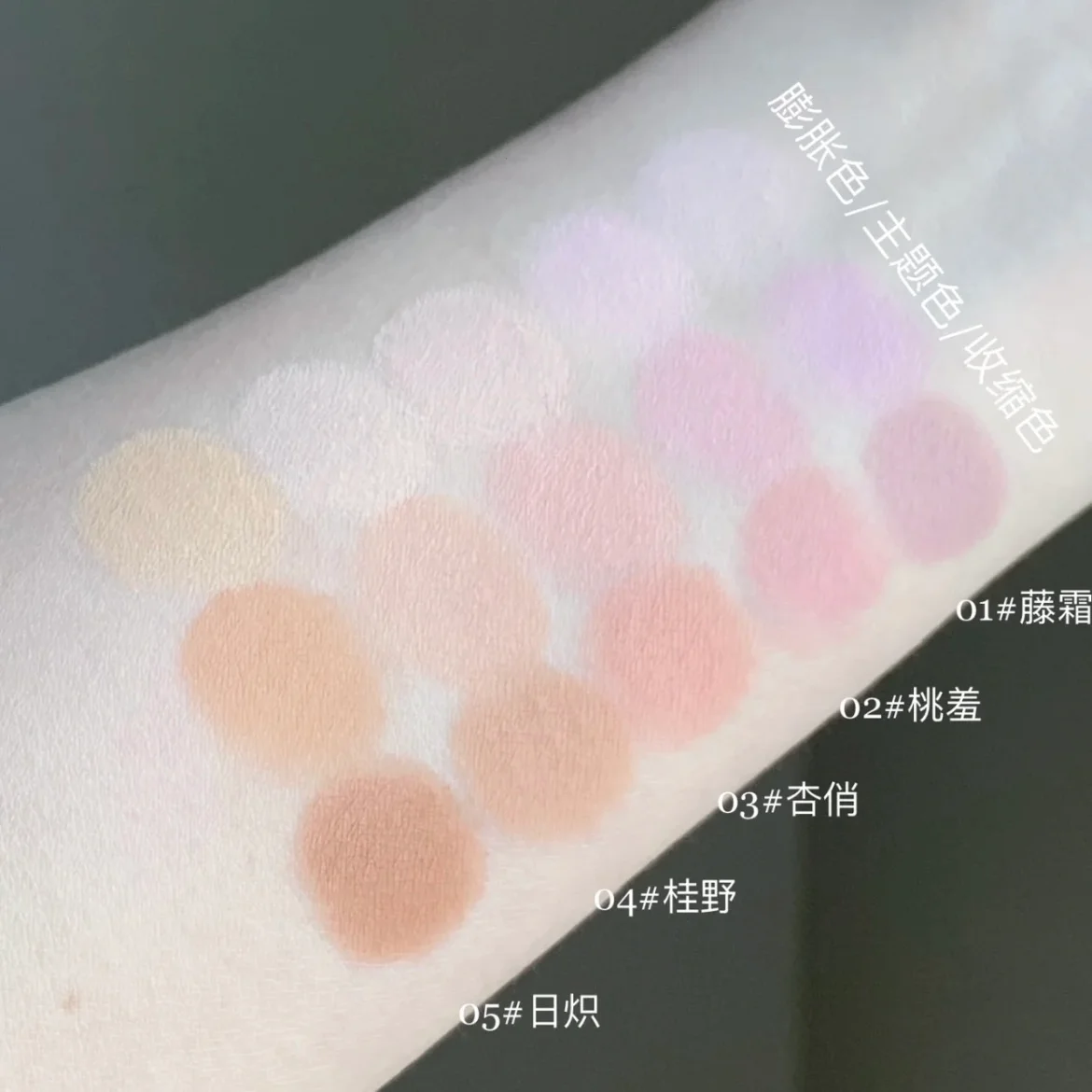 TIMAGE 3 Color Blush Palette Plump Cheeks Natural Contour with Pink Purple Apricot Shades Makeup 13g