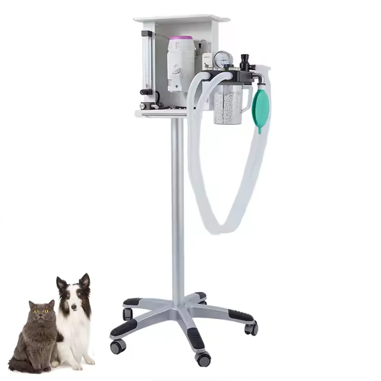 Vericare Vet Anasthetic Machine GA40 Portable Anesthesia Veterinary Device Surgical Anasthesia Machine Good Price