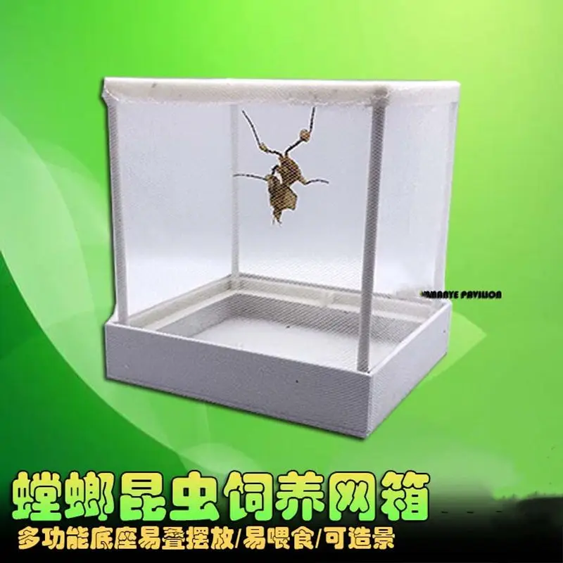 Spot Chinese Dagger Mantis Cage Mantis Feeding Box Incubator Mantis Living Feeding Box Insect Box