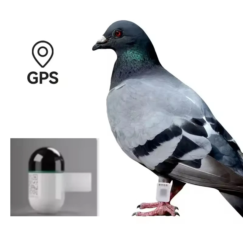 Real-time GPS Locator for Pigeons and Parrots Outdoor Flight Locator Leg Straps Waterproof Lightweight  Attached To Bird's Part