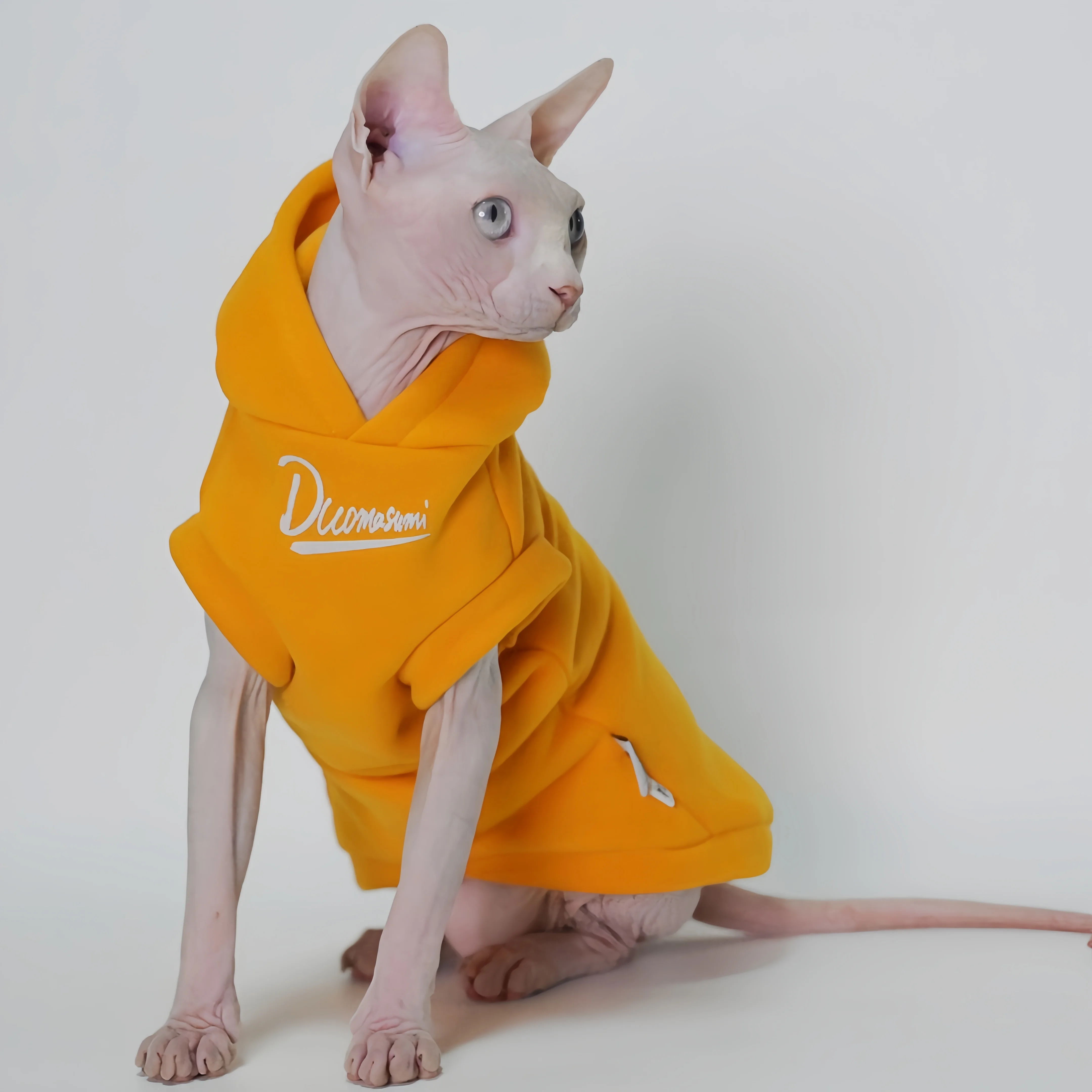 

Soft and Warm Cat Hoodies for Hairless Cats - Sphynx, Devon Rex and Cornish Rex