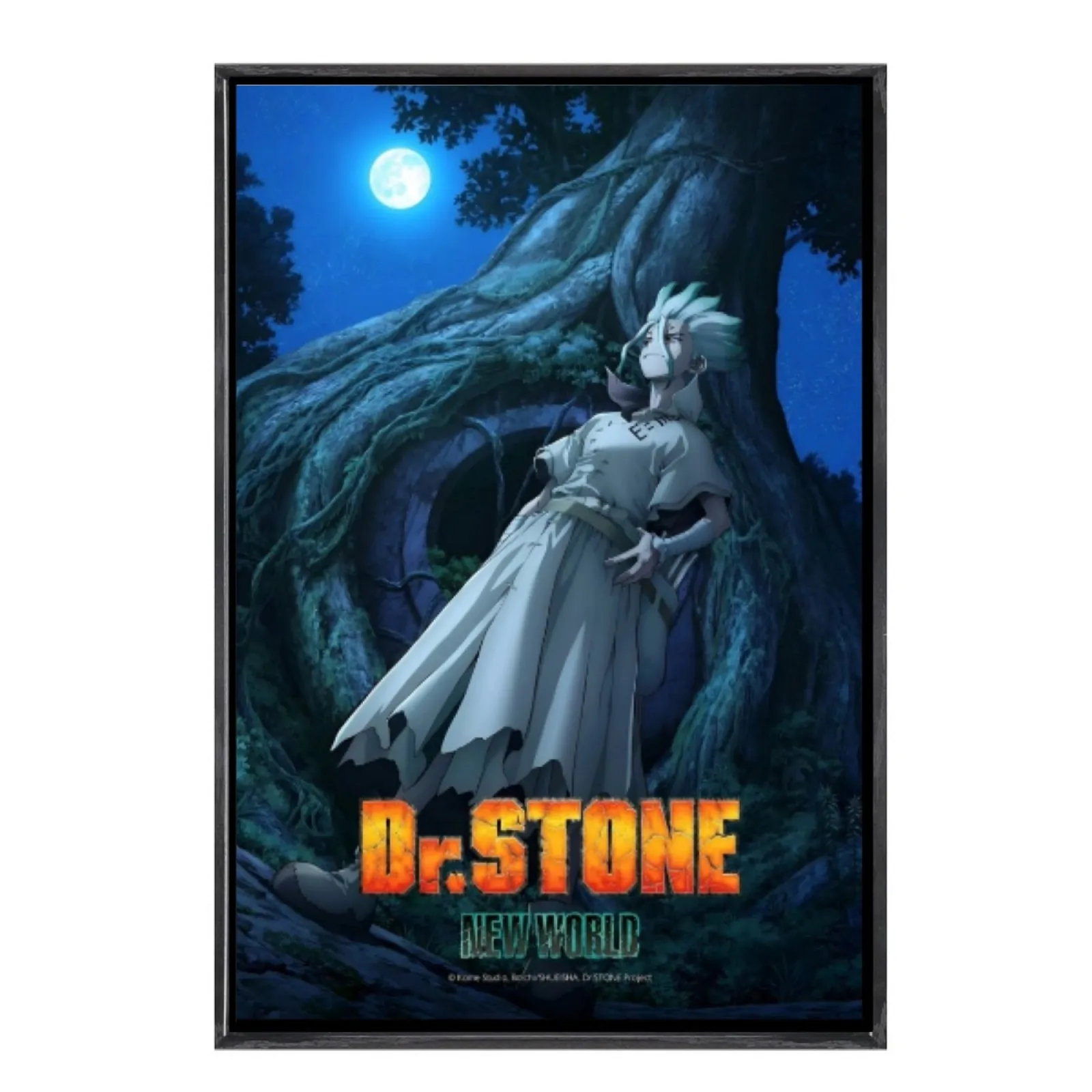 

Japanese Manga Multi-Size Canvas Poster Double Framed Wall Art,Dr Stone Home Decor for Living Room Bedroom