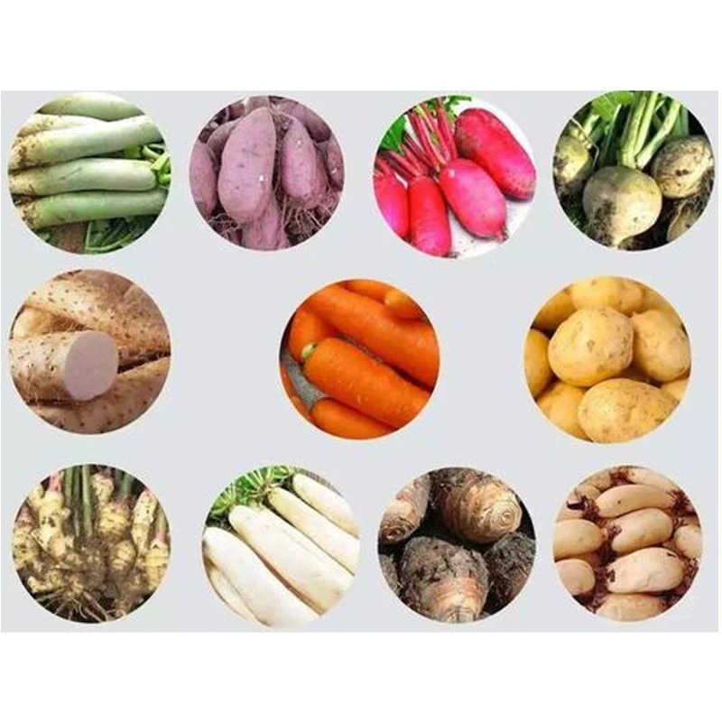 Vegetables Washing Machine / Brush Washing Machine Fruit and Vegetable