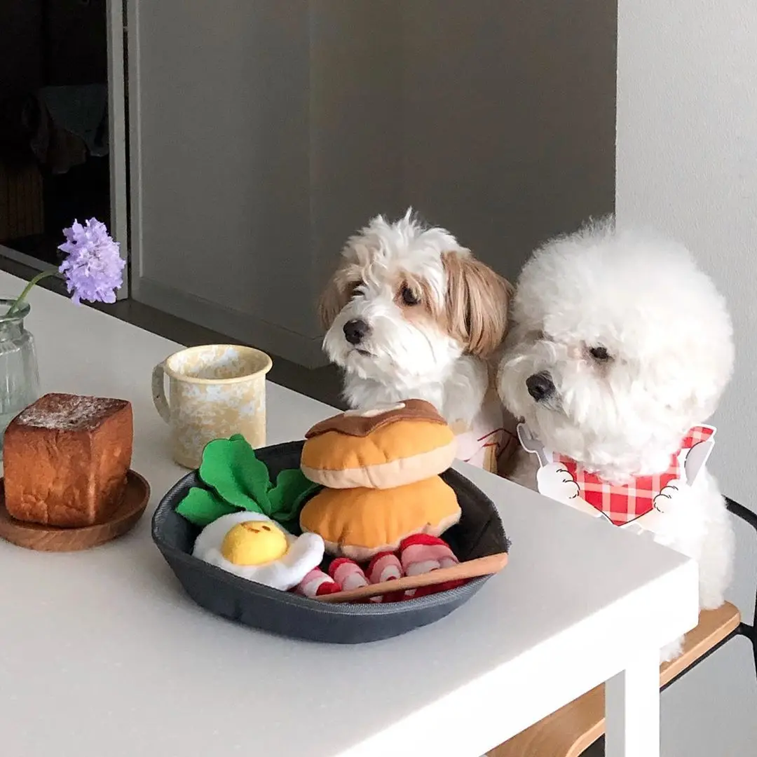 Pet Dog Plush Toys Breakfast dish for Chewing Noisy Squeaker Toys Stuffed Cotton Material PT37