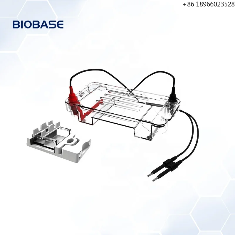 biological fundamental unit CHINA Electrophoresis Machine Haemoglobin Protein Horizontal Electrophoresis Tank ET-H1 For Lab