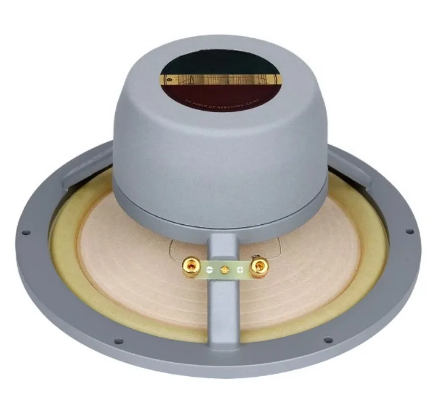 8 Inch Full Range Speaker Driver 8 Ohm 50-80W 47Hz-20kHz Frequency Response Audio Speaker Unit
