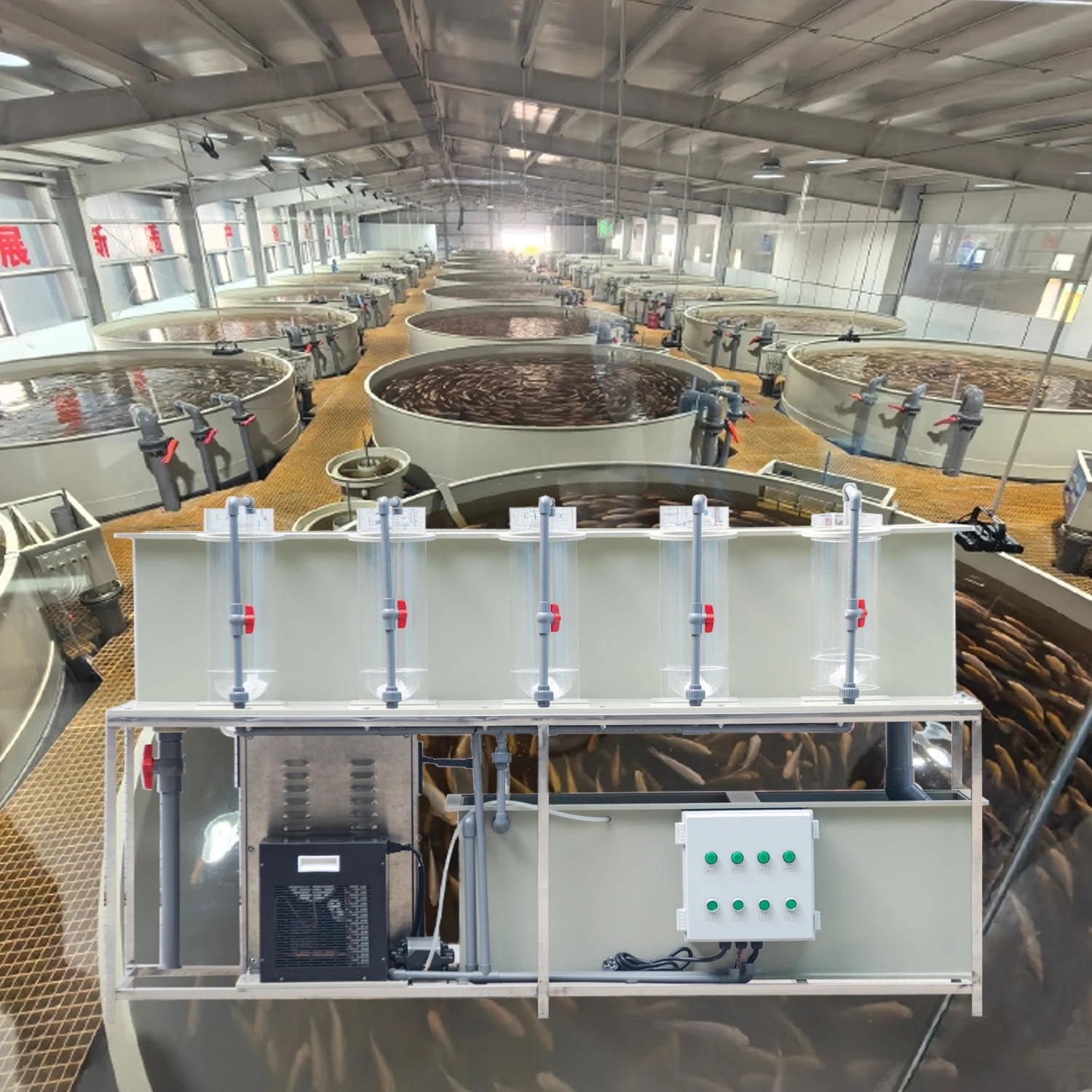 Farming System & Sustainable Agriculture - Sistema di Acquacoltura Automatico QihangRAS per