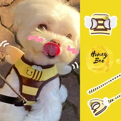 Cute Bee Kitten Puppy Dogs Harness and Leash Set Soft Breathable Dogs Vest Harness Leads Pet Clothes for Small Dogs Chihuahua