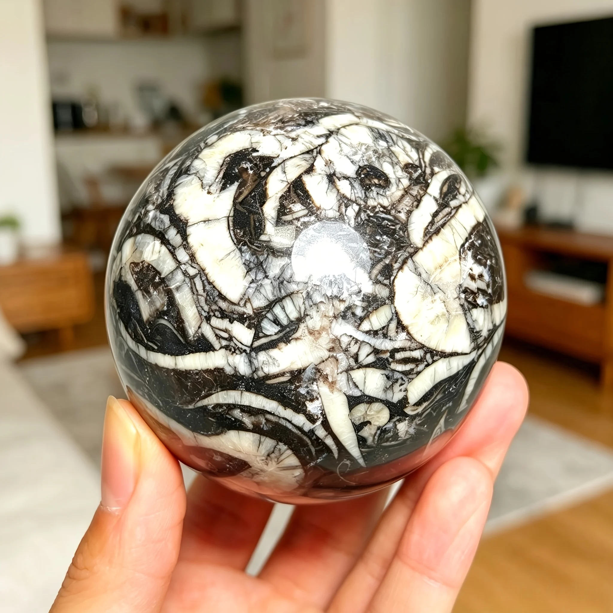 Wholesale Artificial Trilobite Stone Ball Engraved Crystal Craft Natural High Quality for Decoration & Gift
