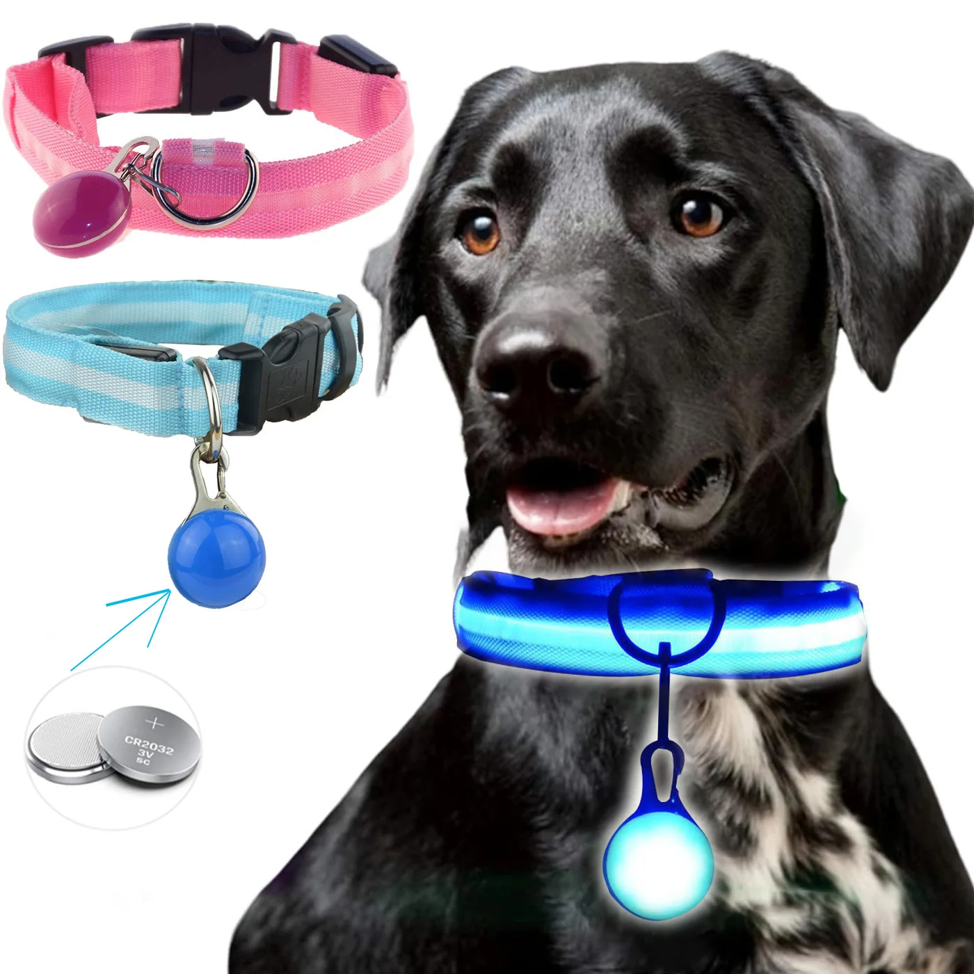 #12 Best LED Puppy Collars to Buy In 2026