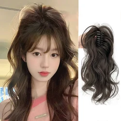 Synthetic Claw Clip Ponytail Hair Extensions Short Curly Natural Tail False Hair For Women Horse Tail Black Hairp