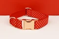 Dog collar02