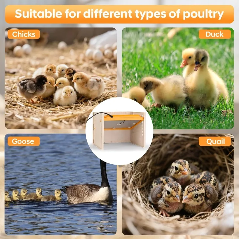 Brooder Plate for Chicks, 25W Heat Plate with Temperature Control, 9.76" x 9.76" Brooder Heater Adjustable Height and Angle, Chi