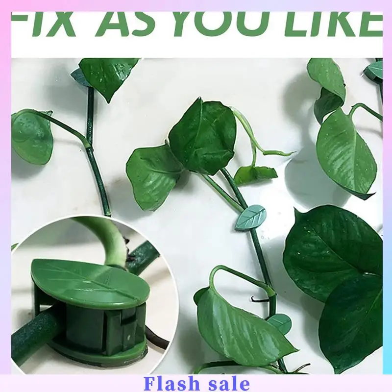 

A06R 80Pcs Plant Wall Fixture Clips Vine Traction Support Holder With 96 Pieces Adhesive Stickers Fixing Green Leaf