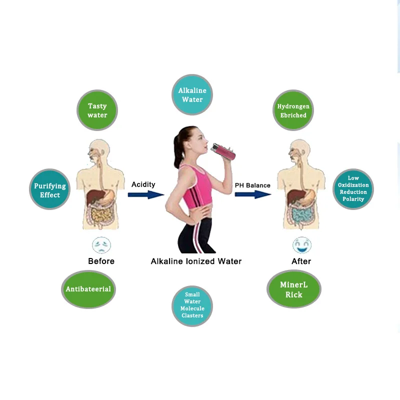 Customized. Stainless Steel Bottle Alkaline Flask Tourmaline Weak Alkaline Small Molecule