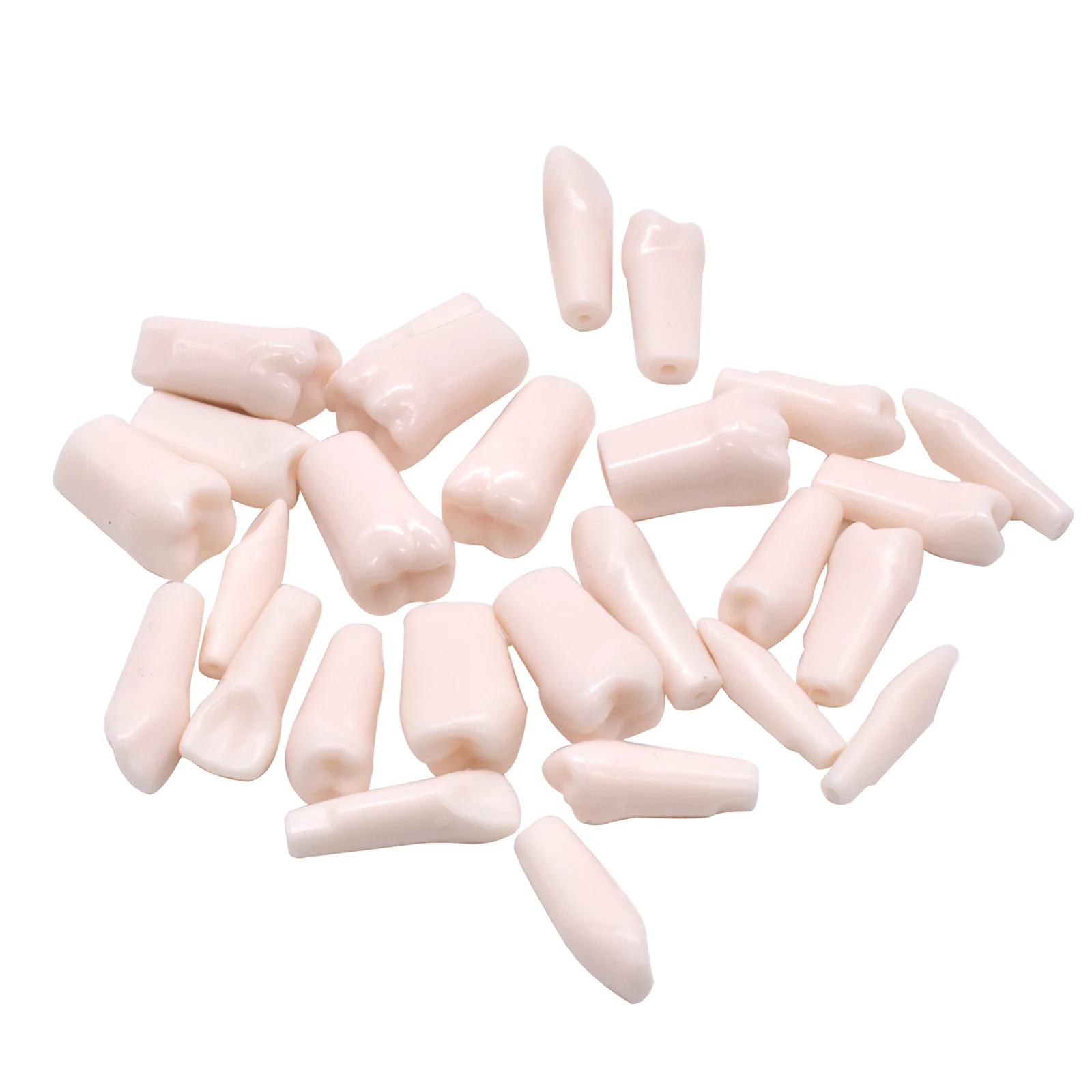 28 قطعة/المجموعة نموذج لشكل الأسنان ل فني الأسنان ممارسة الأسنان الراتنج محاكاة نموذج الأسنان الراتنج الأسنان التدريس وزارة الدفاع