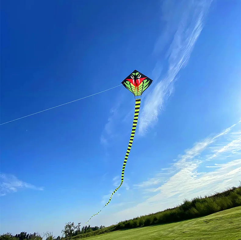 Large Snake Kite Grassland Kite Breeze Fly Children Adult Add String Kites Long Tail Gingham Outdoor Fun Sports Toys