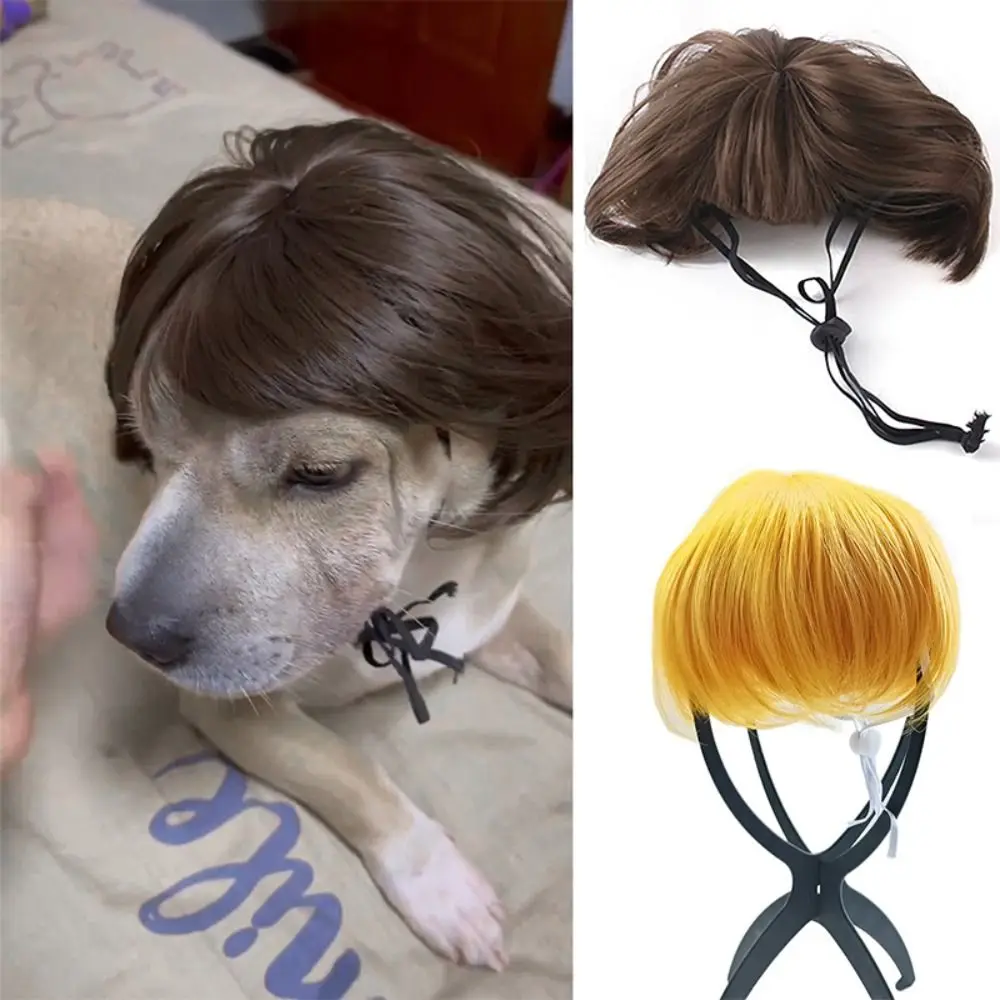 Pet Wigs Cosplay Props Dog Cat Cross-Dressing Hair Photography Funny Props Head Accessories Prank Pet Supplies