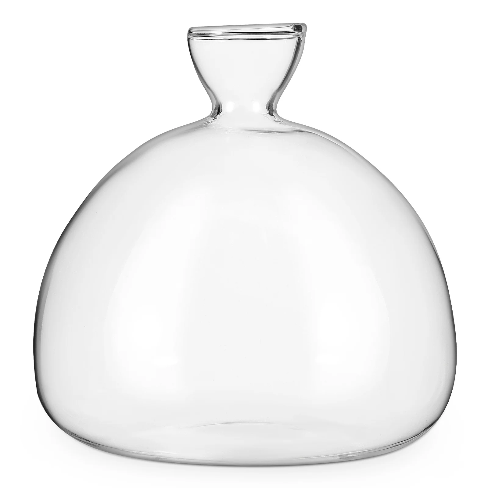 

Glass Plant Pot Clear Transparent Glass Vase Multi Functional Hydroponic Flower Arranging Container Centerpiece Decoration