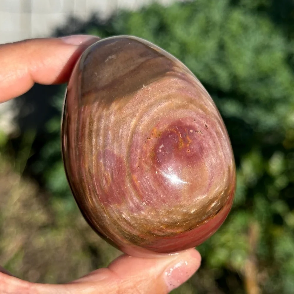 1PC Colorful Petrified Wood Egg | Fossilized Wood Polished Gemstone Egg Carving Rare