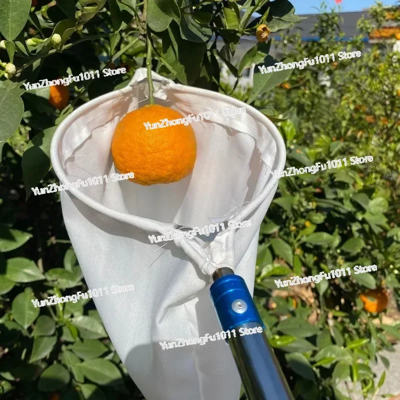 Stainless Steel Tall Tree Professional Fruit Picker Telescopic Rod Large Medium Fruits Picking Tools Double Blade Fruit Picker