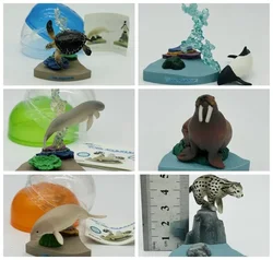 QUALIA Original Kawaii Gashapon Figure Cute Zoo Aquarium Sea Turtle Otter Tiger Capsule Toys Anime Figurine Gift