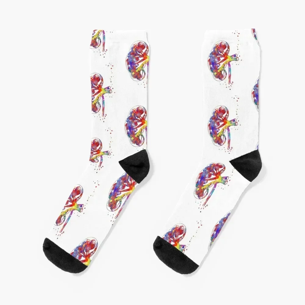 Kidney section, human anatomy, urology, kidney Socks Wholesale heated short Lots Luxury Woman Socks Men's