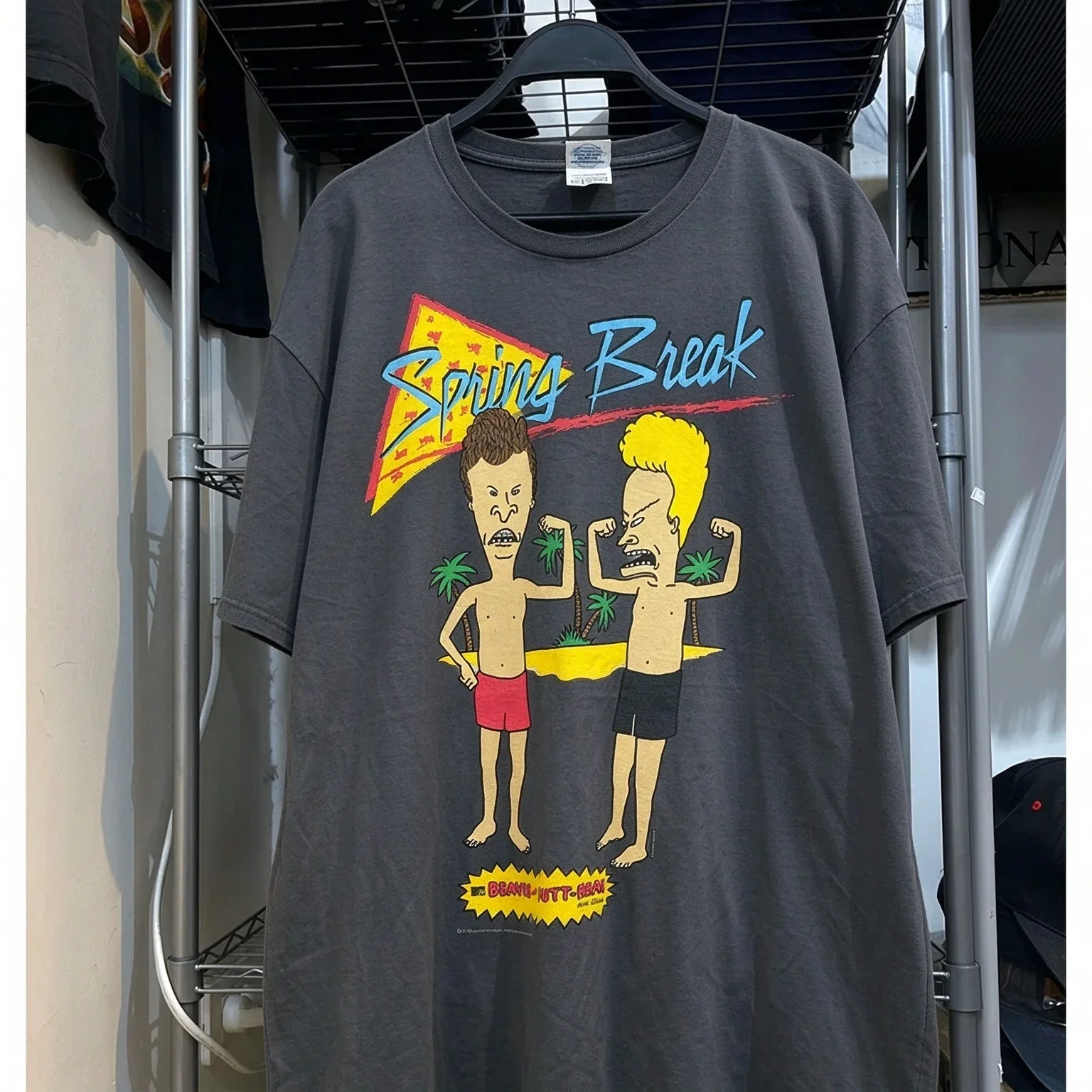 Beavis Butt Head Spring Break 90s Cartoon Graphic Tee T Shirt Men's Women's Unisex Cotton Retro Cool Oversized Short Sleeve Top