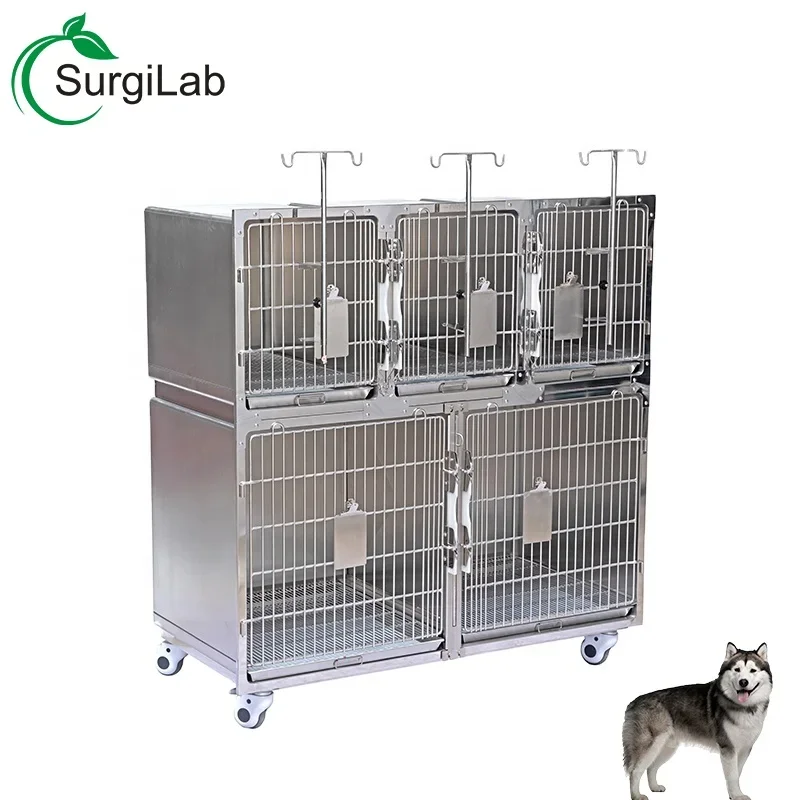 Hot sale 5 doors pet dog cage 304 stainless steel Veterinary Combination jaula for dogs and cats