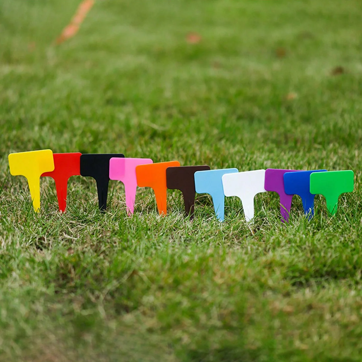 100pcs-Plastic plant labels, garden labels, hanging labels for plants, used for horticulture and organization-random color