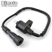 Motorcycle Ignition Coil Assy For Adly ATV 280 320 400 300 280 320 Hurricane Supermoto Sport Crossroad Sentinel Boost Car OnRoad