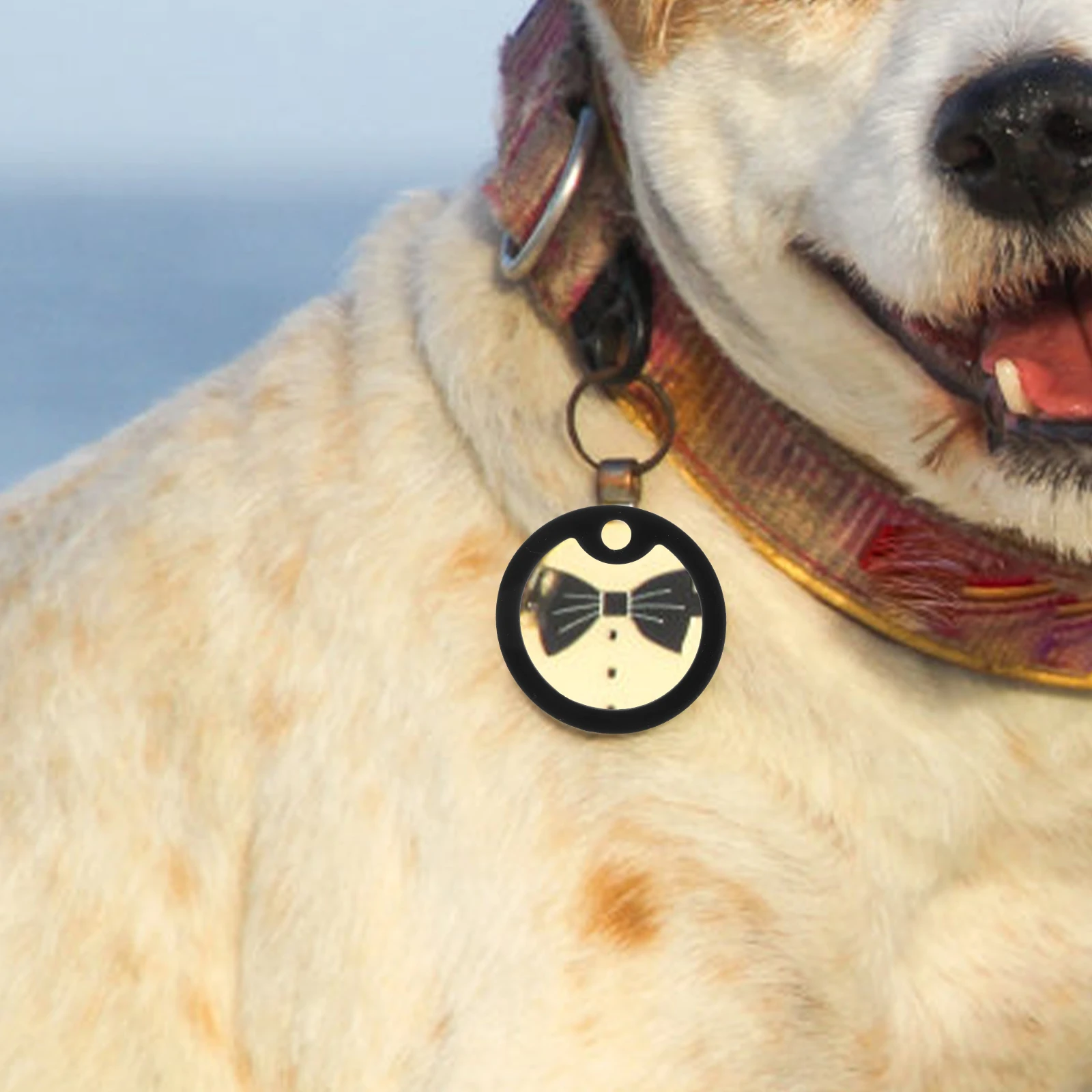 

15 Pcs Dog Tag Silencers Soft Round Covers Black Color Style Noise Reducer Silicone Pet Accessories Dog Tag Ring