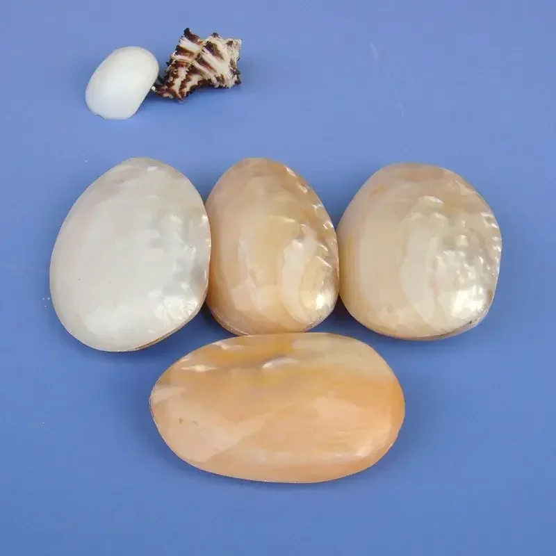 Oil Painting, Natural Conch Shell, Pearl Shell Scraping Board, Gift for Friends, Home Decoration