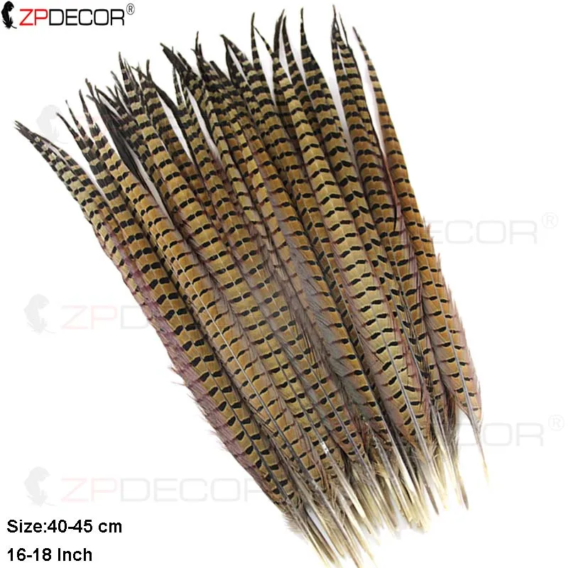 ZPDECOR Ringneck Feathers 40-45cm/16-18 Inch Dyed Feathers for Crafts And Costumes Natural Bird Feathers