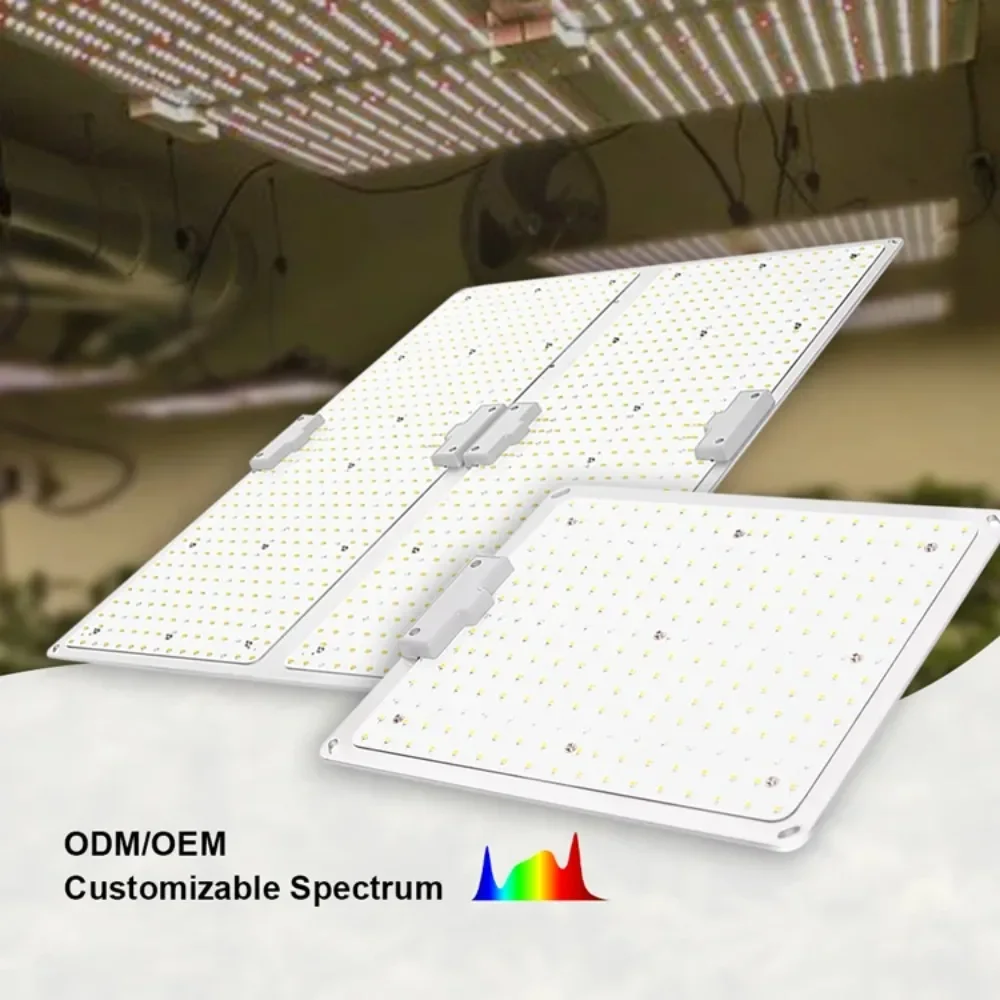 Customized Seed Starting  quantum led board lm301h 400/600/100w indoor plant grow light