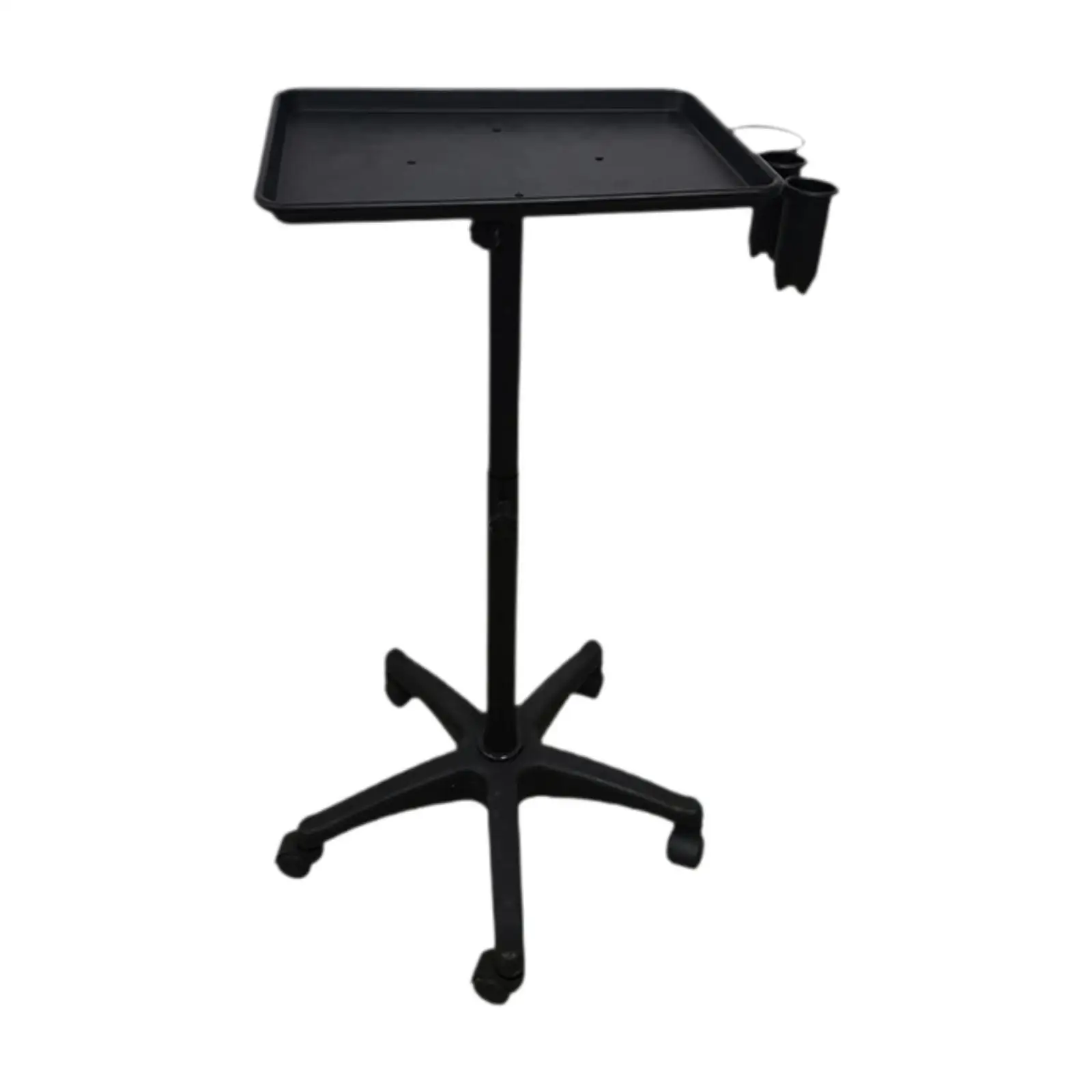 

Salon Tray Cart Rolling Utility Trolley with Storage for SPA