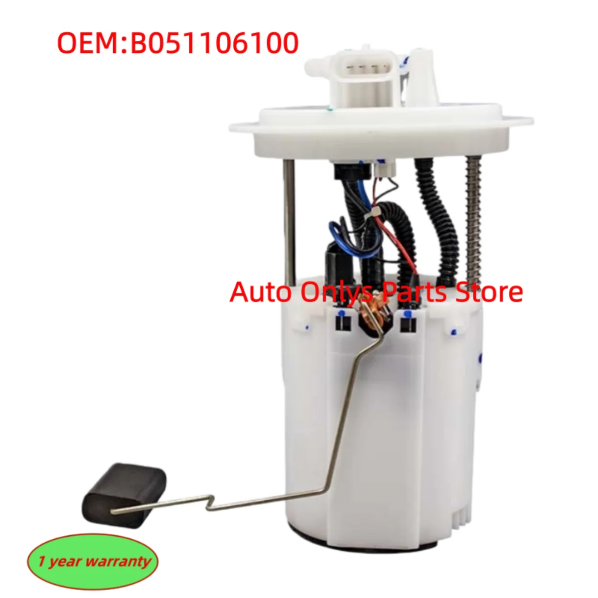 1pc B051106100 High-quality fuel pump assembly For Cheetah CS9 car accessories
