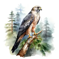 Pretty Falcon Watercolor Sticker, Water-proof Home Wall Decal, Used for Wall, Bathroom, Cabinet, Door,Toilet, Car, Laptop