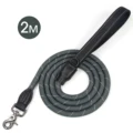 gray black buckle