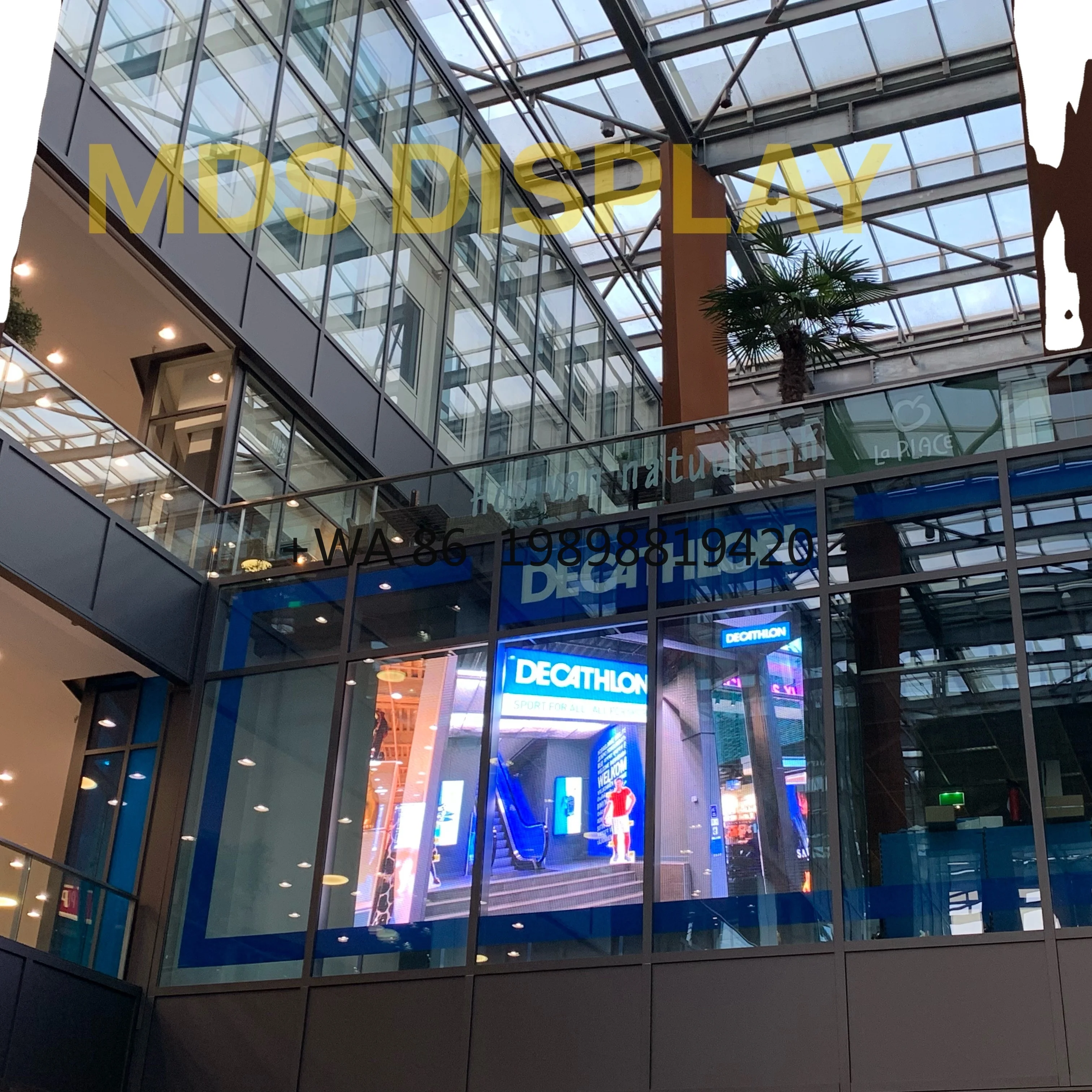 Shenzhen Mds Displa…