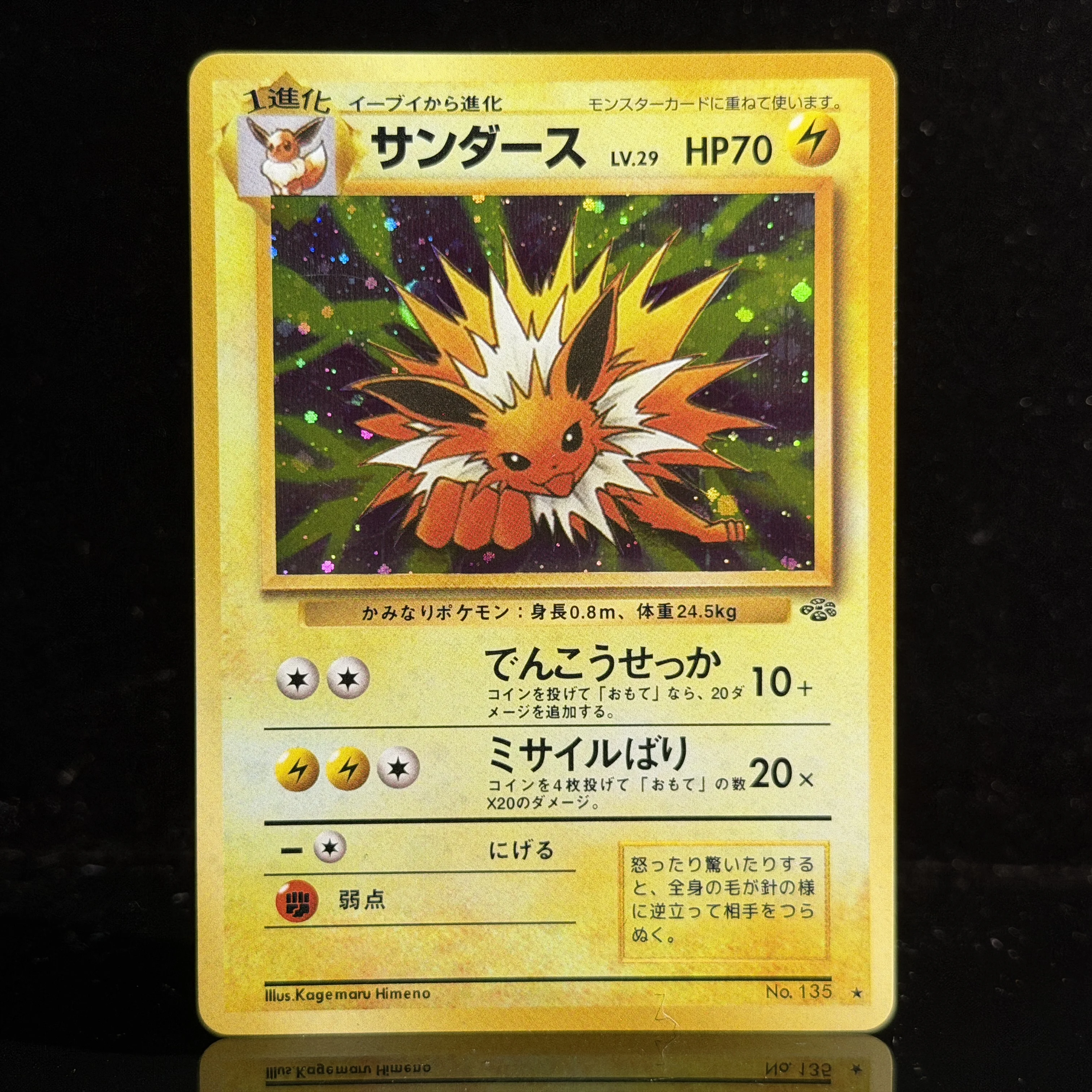 Vintage Japanische PTCG Old Back Collection Karten Basis-Set 2 Jungle Fossil Promo TCG Proxy-Karten Gengar Nidoqueen Flareon Neue Holo-Karten
