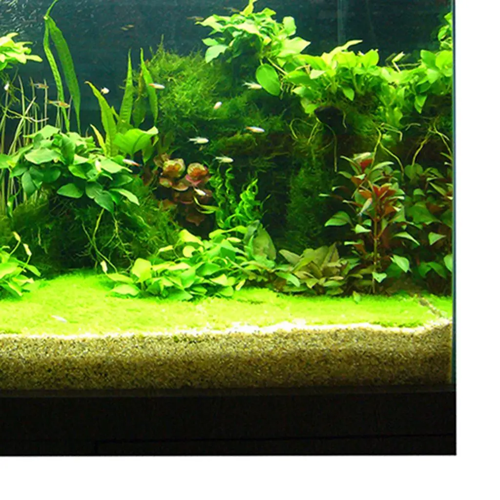 Single-Sided Adhesive Aquarium Background Backdrop Fish Tank Reptile Terrarium Vivarium Wallpaper Decor - Plants