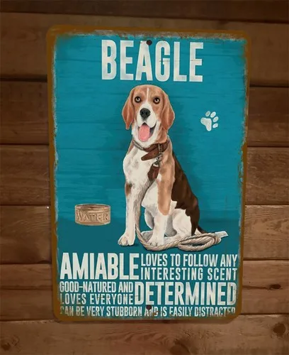 Panneau mural en métal « Beagle : Amical, Déterminé, Têtu, Facilement Distraissable »