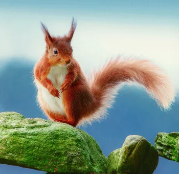 

BETAFPV SuperX ELRS Nano Receiver ELRS 2.4G+915M/868M Dual LR1121 Mono Receiver 2.4G/915Mhz for RC FPV Racing Freestyle Drone